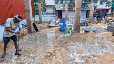 Project update 5-5
